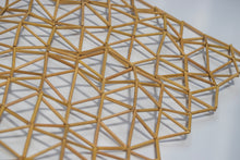 Load image into Gallery viewer, natural geometrical harakeke wallart for home