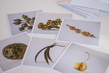Load image into Gallery viewer, Seedpods from Aotearoa - card set