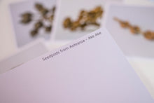 Load image into Gallery viewer, Seedpods from Aotearoa - card set