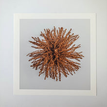 Load image into Gallery viewer, Reaching Out - Photographic Print Fundraiser #1