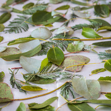 Load image into Gallery viewer, leaves preparation for eco print
