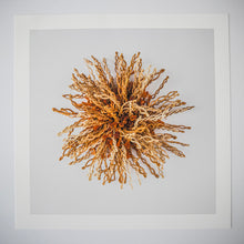 Load image into Gallery viewer, Reaching Out - Photographic Print - Fundraiser #5

