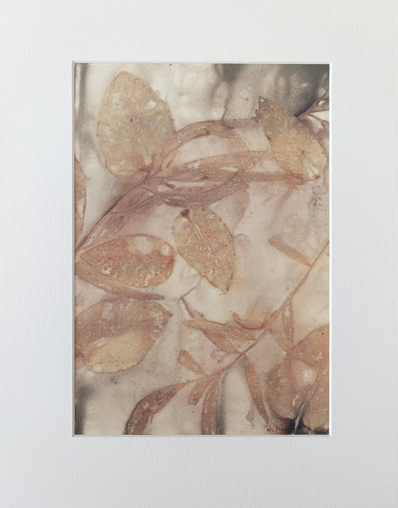 eco dye on paper - fundraiser #4